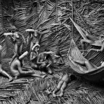 Brasile, 2009 -Sebastião Salgado