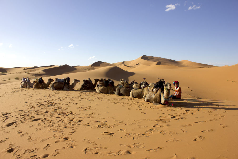 Marocco on the road tra medine, oasi e deserto