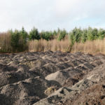 David Farrell – Innocent Landscapes