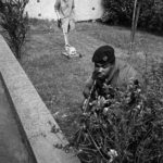 magnum ireland ian berry