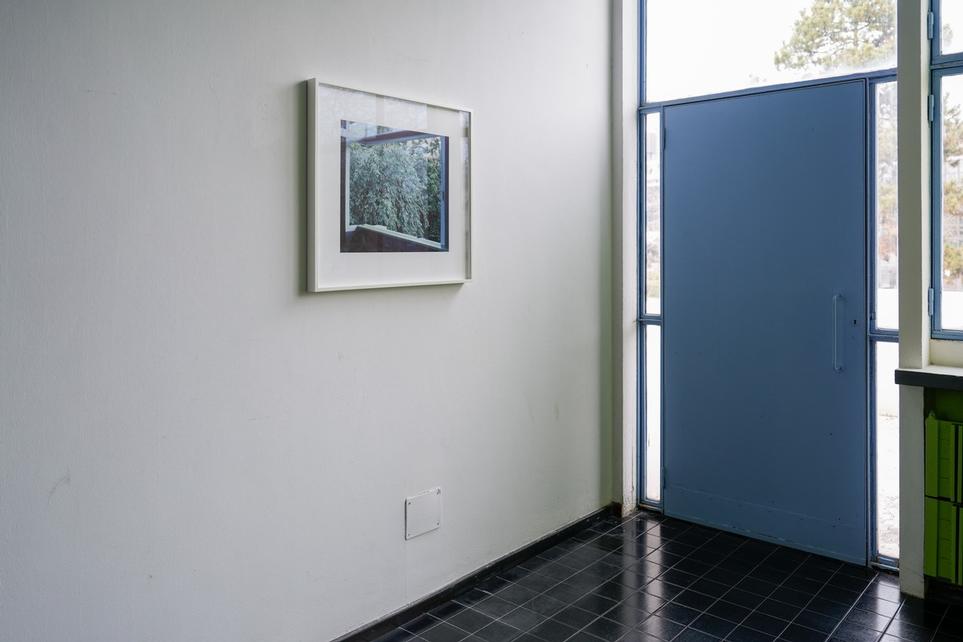 Opus Novum #6 Luisa Lambro 