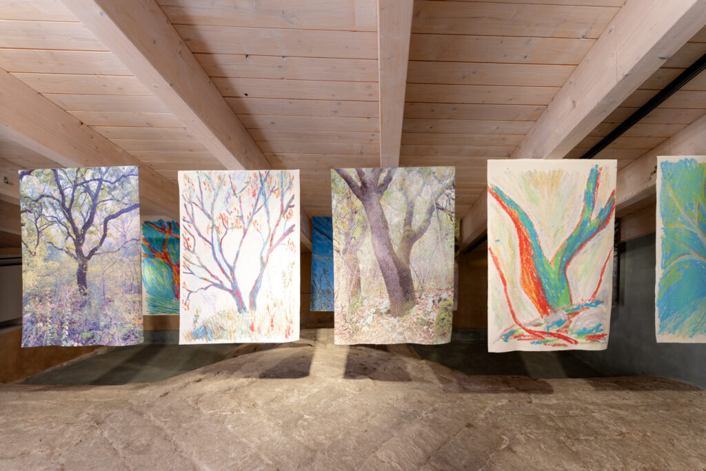 TAM Matera Paesaggio Ignoto, stanza delle querce © Emanuele Taccardi