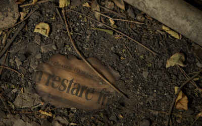 Dalla Basilicata all’Europa: 3 mostre da non perdere